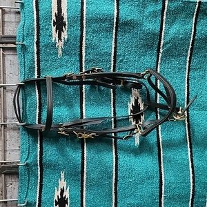 HORSE Bridle Halter Combo